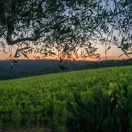 Casa Attilio Vakantiehuis